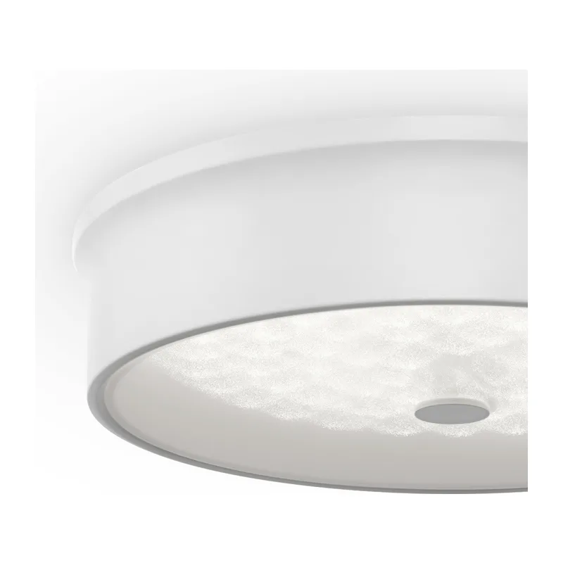 Потолочный светильник FR10011CL-L24W Элементы 24 Вт LED Freya 12