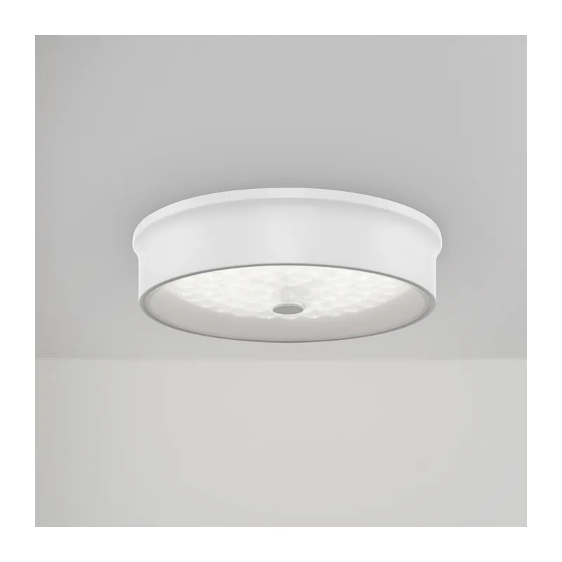 Потолочный светильник FR10011CL-L24W Элементы 24 Вт LED Freya 13