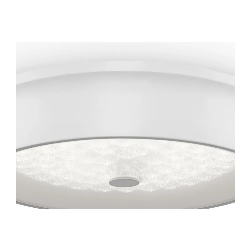 Потолочный светильник FR10011CL-L24W Элементы 24 Вт LED Freya 14