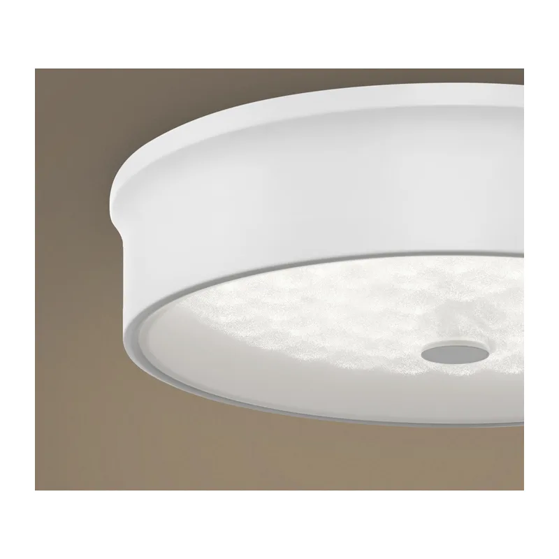 Потолочный светильник FR10011CL-L24W Элементы 24 Вт LED Freya 15