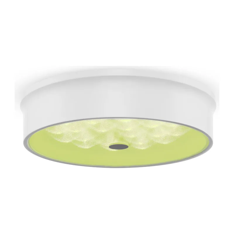 Потолочный светильник FR10011CL-L24W Элементы 24 Вт LED Freya 3