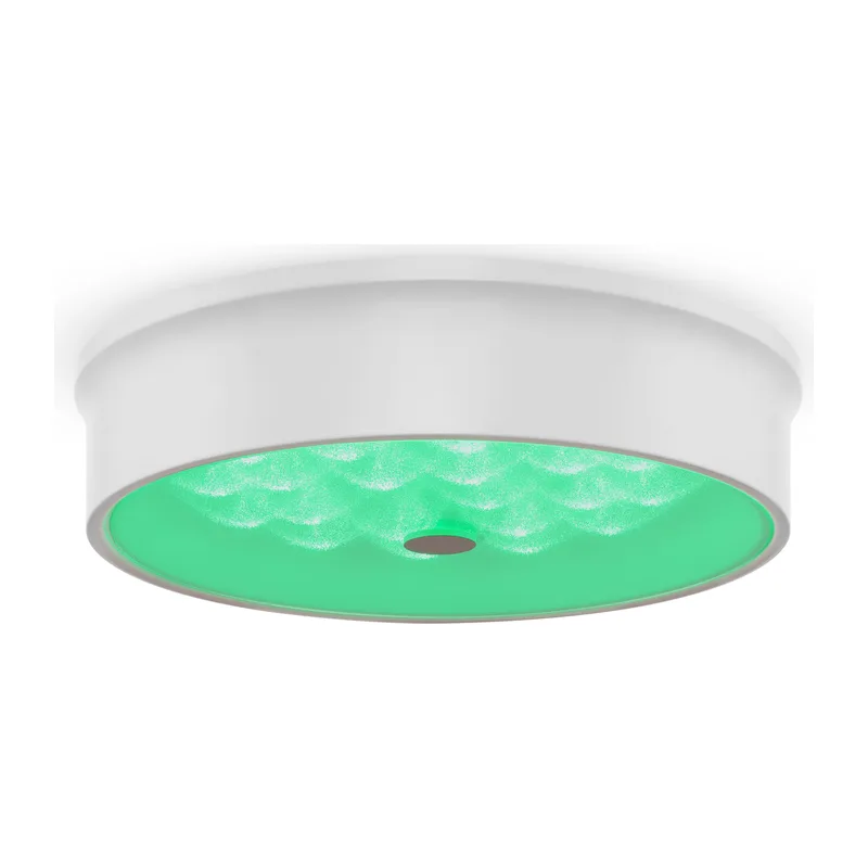 Потолочный светильник FR10011CL-L24W Элементы 24 Вт LED Freya 4