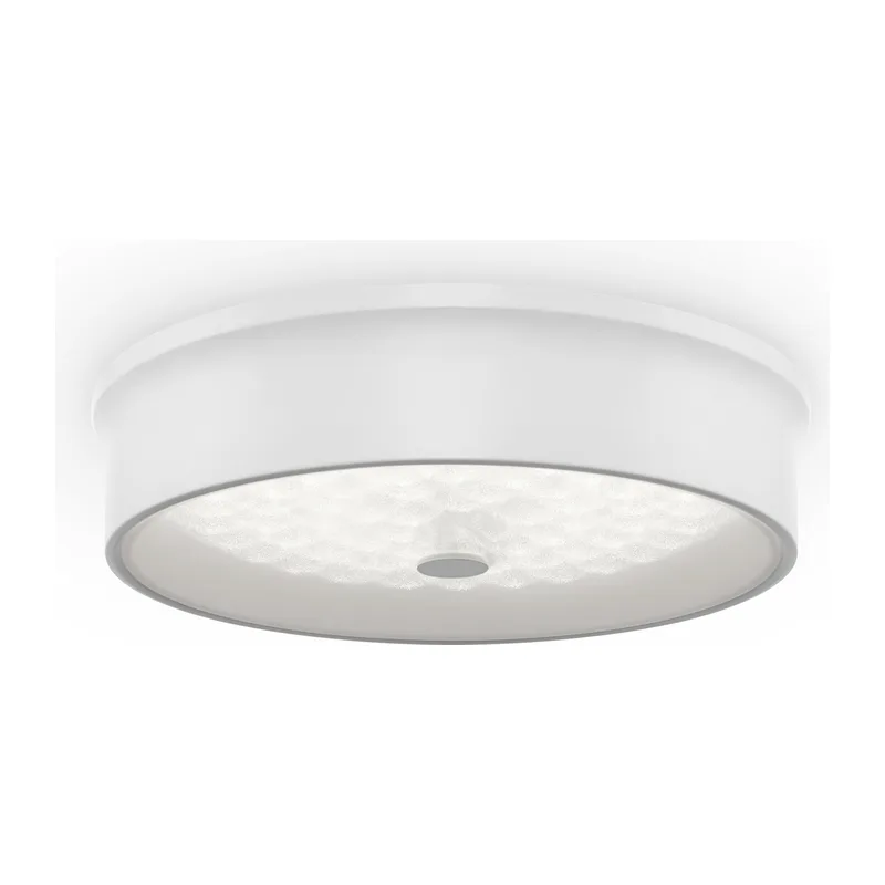 Потолочный светильник FR10011CL-L24W Элементы 24 Вт LED Freya