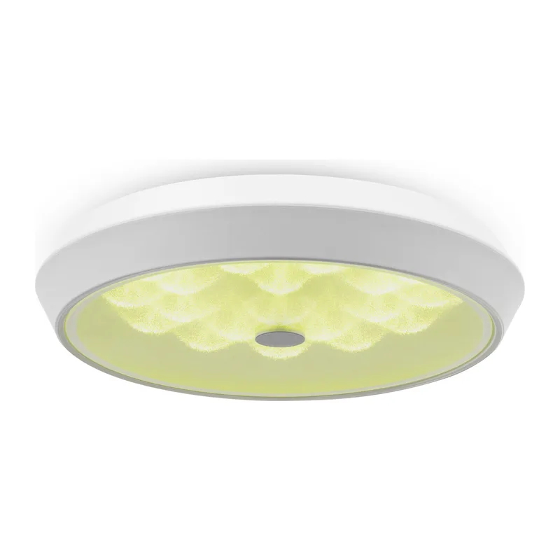 Потолочный светильник Элементы / Cells Freya FR10012CL-L24W 2