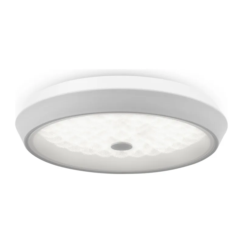 Потолочный светильник Элементы / Cells Freya FR10012CL-L24W