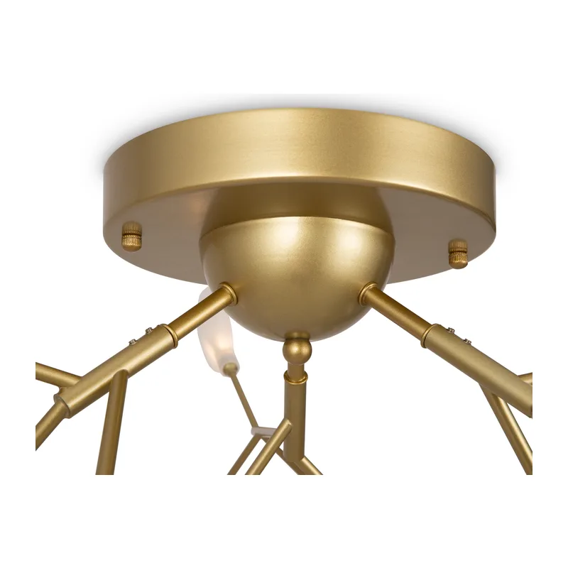 Потолочный светильник Флоренсия / Florencia Freya FR5049CL-27G 5