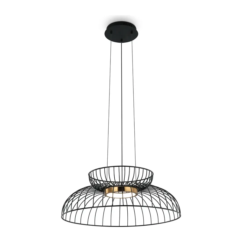 Подвесной светильник Цитрус / Citrus Freya FR5398PL-L6B