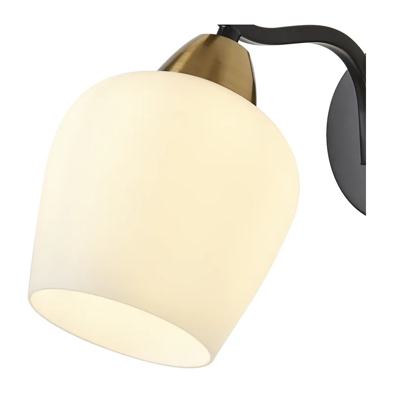 FR5422WL-01BZ 7