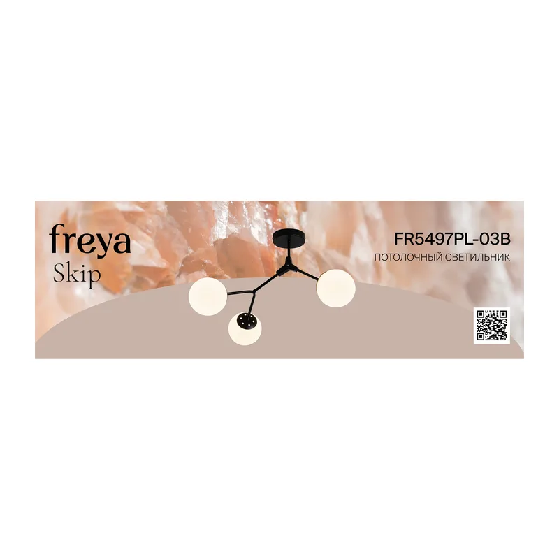 FR5497PL-03B 9