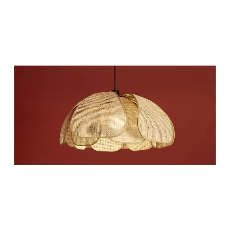 Подвесной светильник Кокон / Cocoon Freya FR5529PL-01B 9
