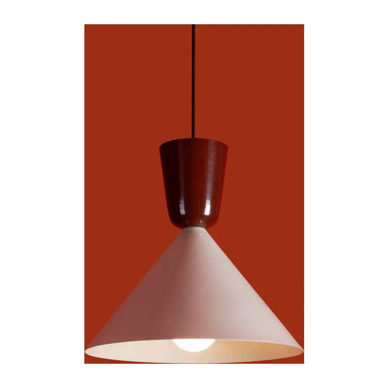 FR5598PL-01CR 3