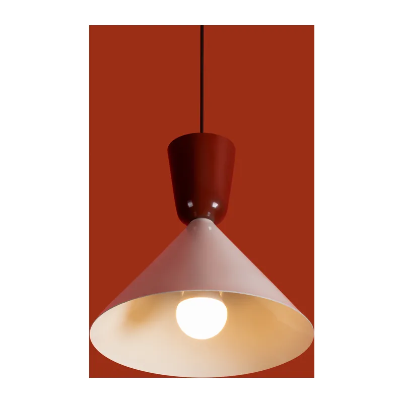 FR5598PL-01CR 4