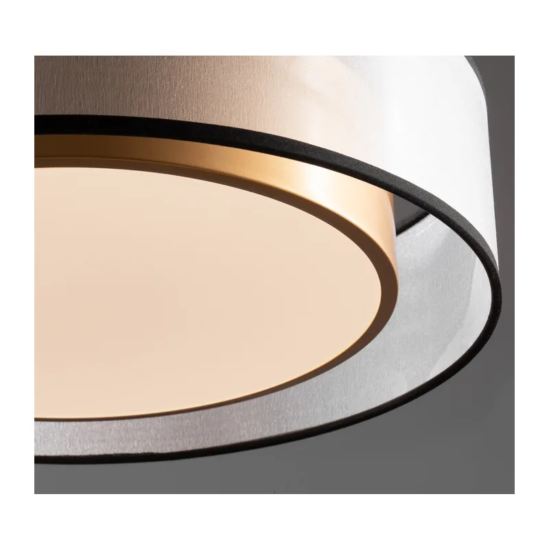 Потолочный светильник Зотикус / Zoticus Freya FR6005CL-L36G 4