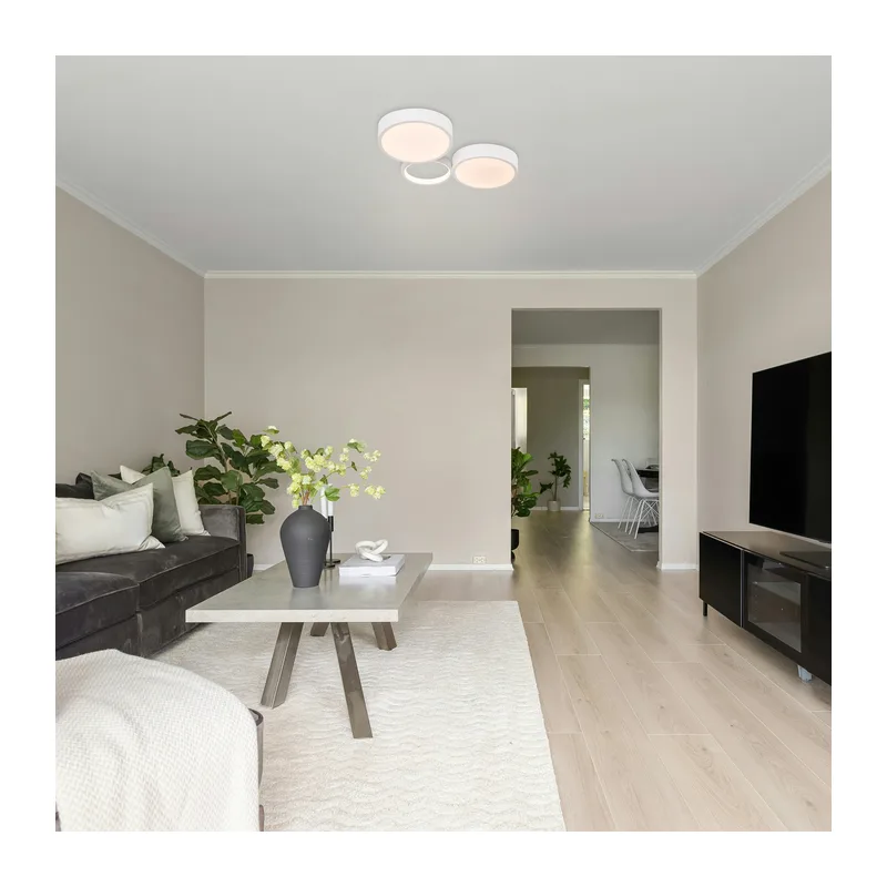 Потолочный светильник FR6080CL-L76W Молекула / Molecule 56 Вт LED с пультом ДУ Freya 3