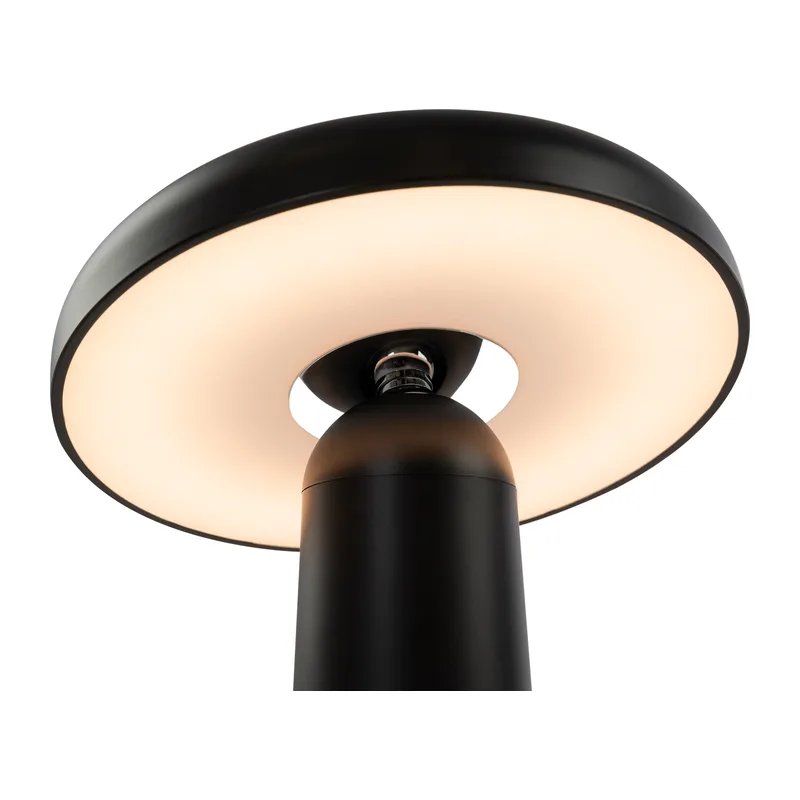 Аккумуляторный светильник Гриб / Mushroom Freya FR6109TL-L4B 3