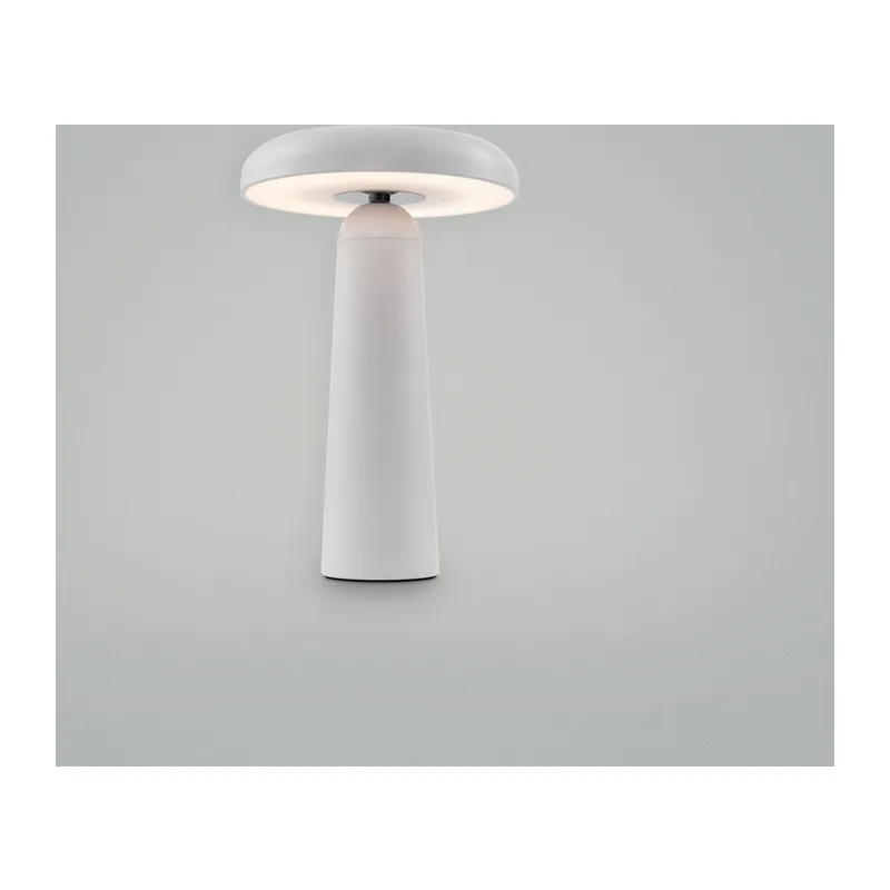 Аккумуляторный светильник Гриб / Mushroom Freya FR6109TL-L4W 7