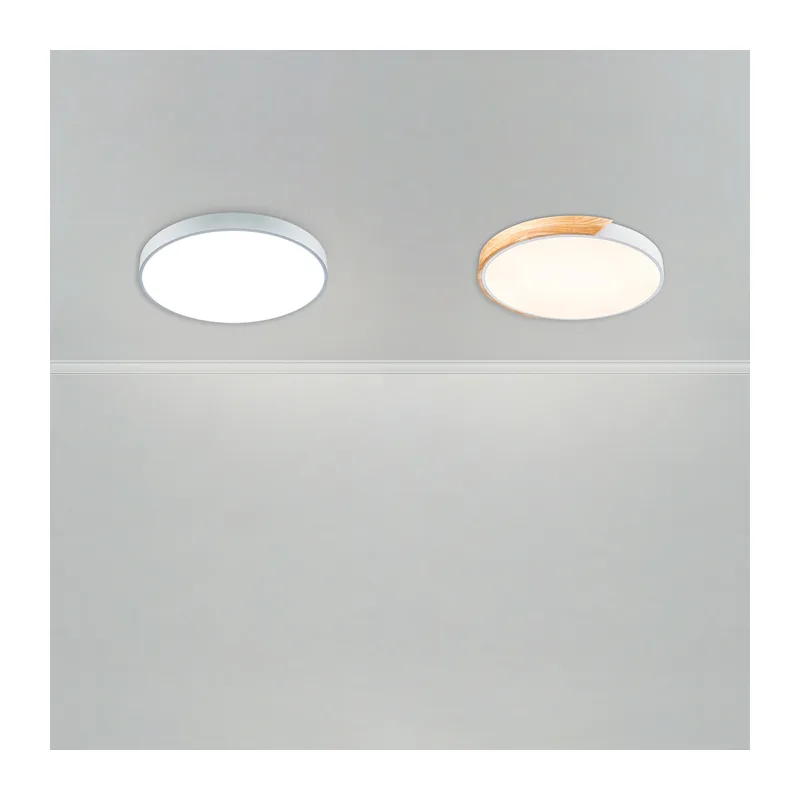 Потолочный светильник FR6129CL-L80GR Сприда / Sprida 80 Вт LED с пультом ДУ Freya 4