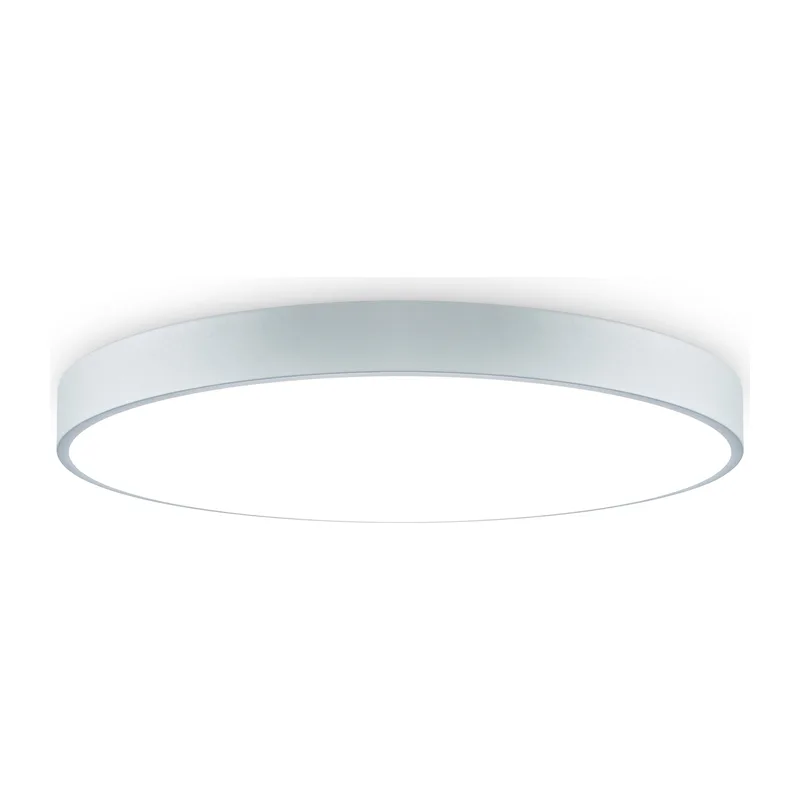 Потолочный светильник FR6129CL-L80GR Сприда / Sprida 80 Вт LED с пультом ДУ Freya