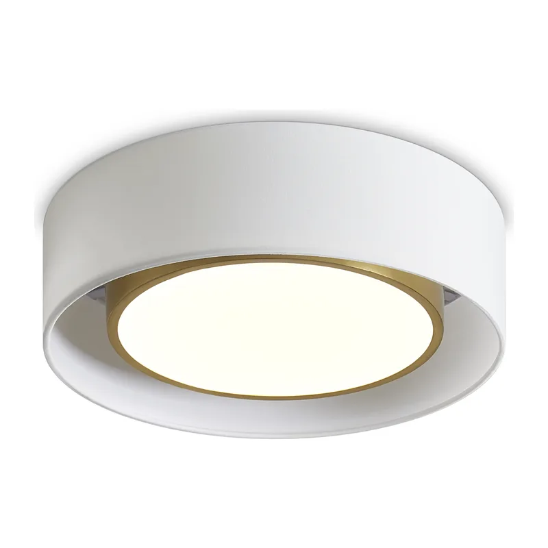 Потолочный светильник Уют / Cozy Freya FR6170CL-L52BS