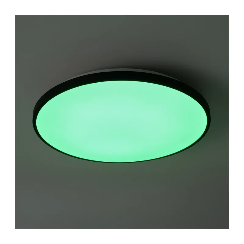 Умный Потолочный светильник FR6211CL-L24B Обель / Obelle 24 Вт LED Freya 9