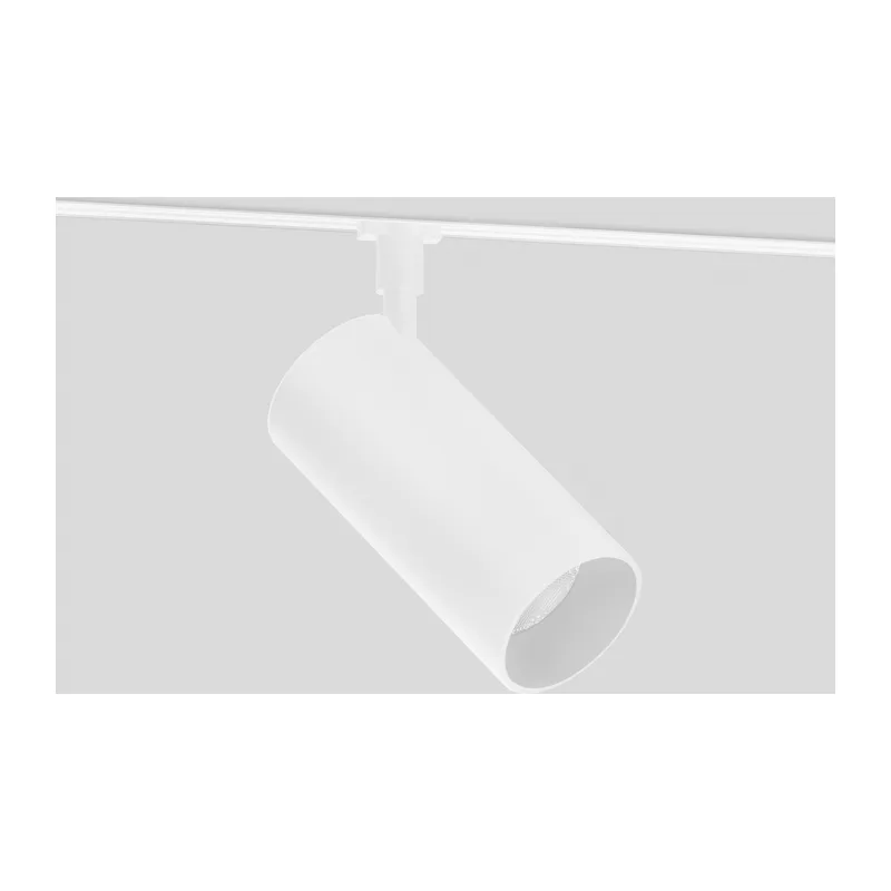 Трековый акцентный светильник DIP-3CCT 3000-6000K 18Вт 24° GL2309 WH белый IP20 18Вт 3CCT 3000-6000K 48В 24° D55*120 Ambrella Light 4