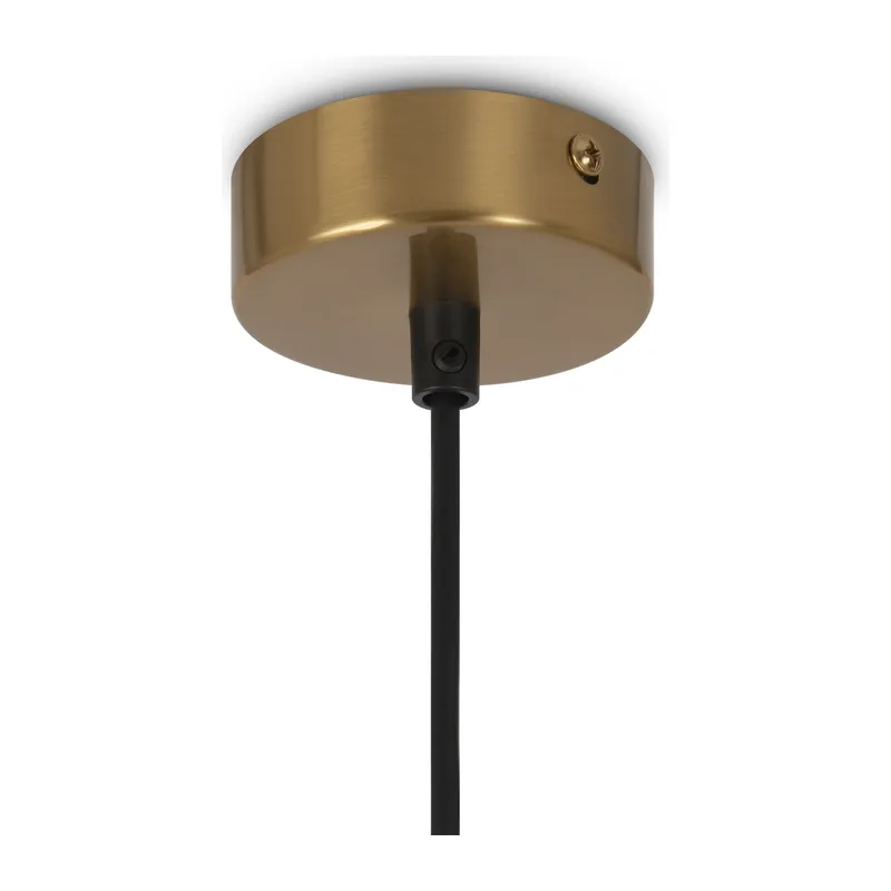 MOD013PL-04BS1 3