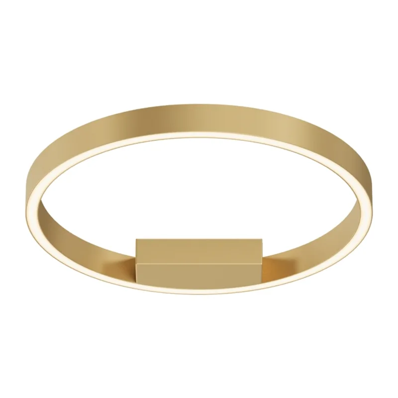 Потолочный светильник Рим / Rim 2600-3500К 24Вт Maytoni MOD058CL-L25BSK