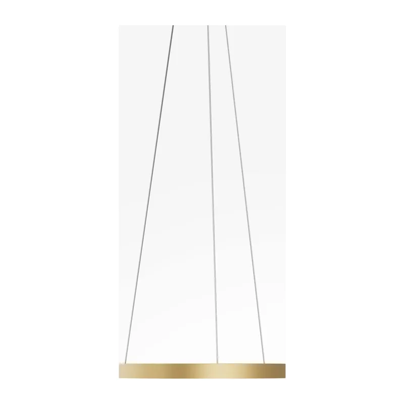 Подвесной светильник Рим / Rim 2600-3500К 24Вт Maytoni MOD058PL-L22BSK 4