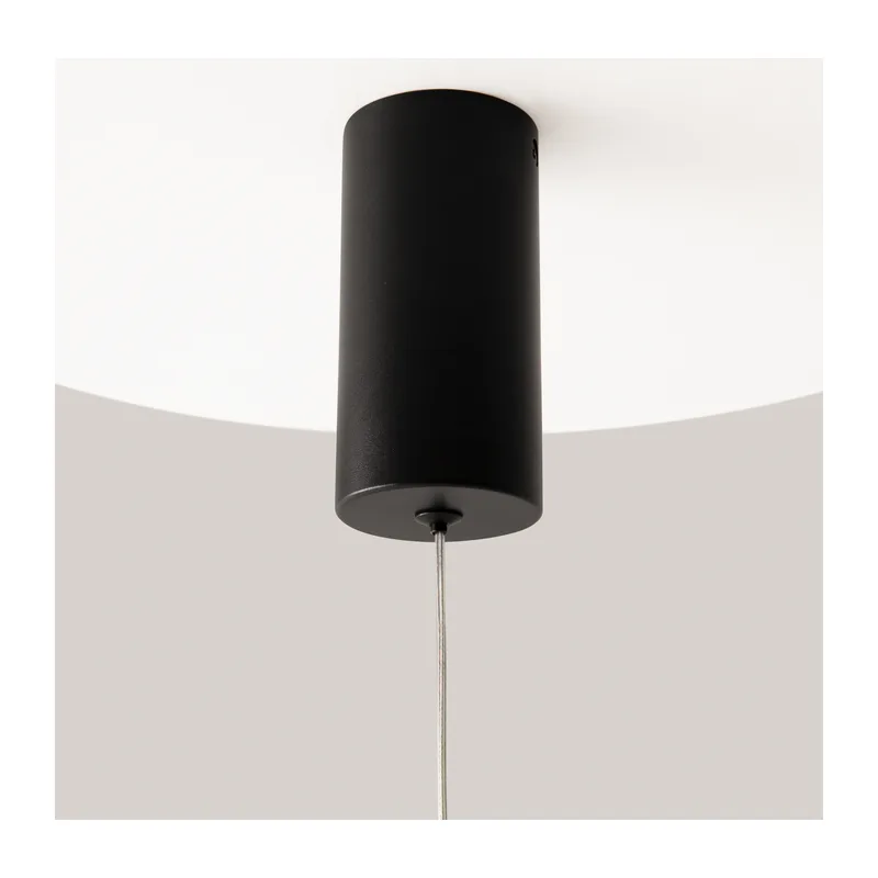 Подвесной светильник Про цвет / Pro Shade 3000-4000К 6Вт Maytoni MOD157PL-L6BK 16