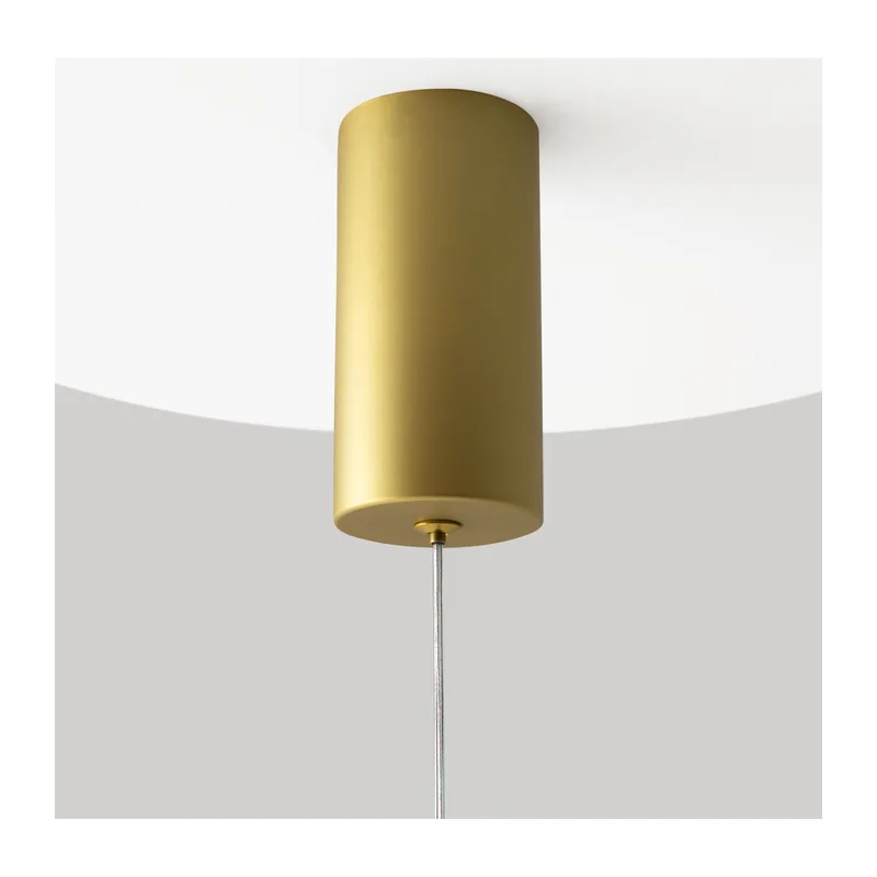 Подвесной светильник Про цвет / Pro Shade 3000-4000К 6Вт Maytoni MOD157PL-L6GK 8
