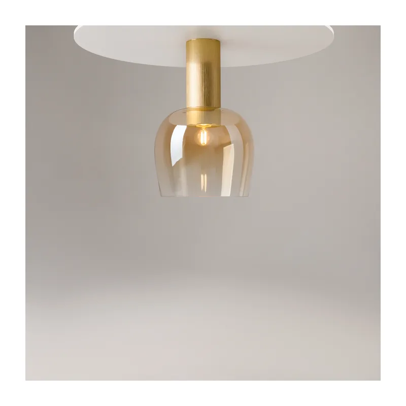 Потолочный светильник Повседневний образ / Smart Casual E27х1 Maytoni MOD414CL-01G 5