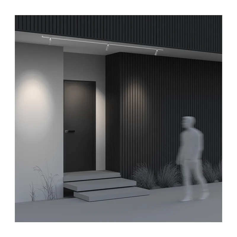 Уличный трековый светильник Фокус / Focus Led Elasity IP 3000K 16Вт 55° белый Maytoni O-TR01-1-S-16WW3K 5