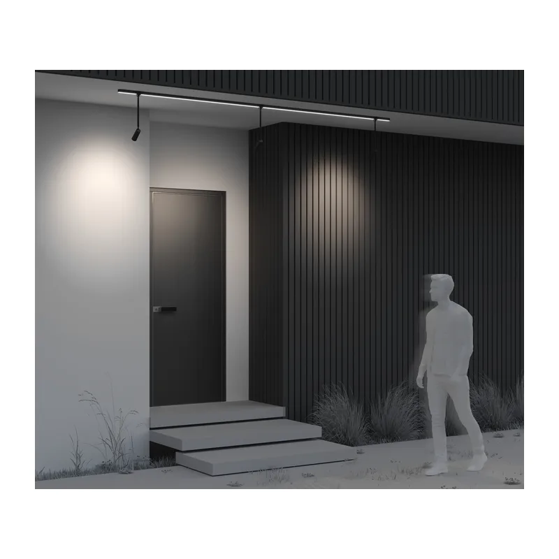 Уличный трековый светильник Фокус / Focus Led Elasity IP 3000К 8Вт 55° черный Maytoni O-TR01-2-P-8WB3K 10
