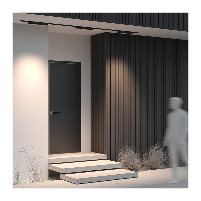 Уличный трековый светильник Точки / Points Exility IP 3000К 24Вт 36° черный Maytoni O-TR02-2-S-24WB3K 3