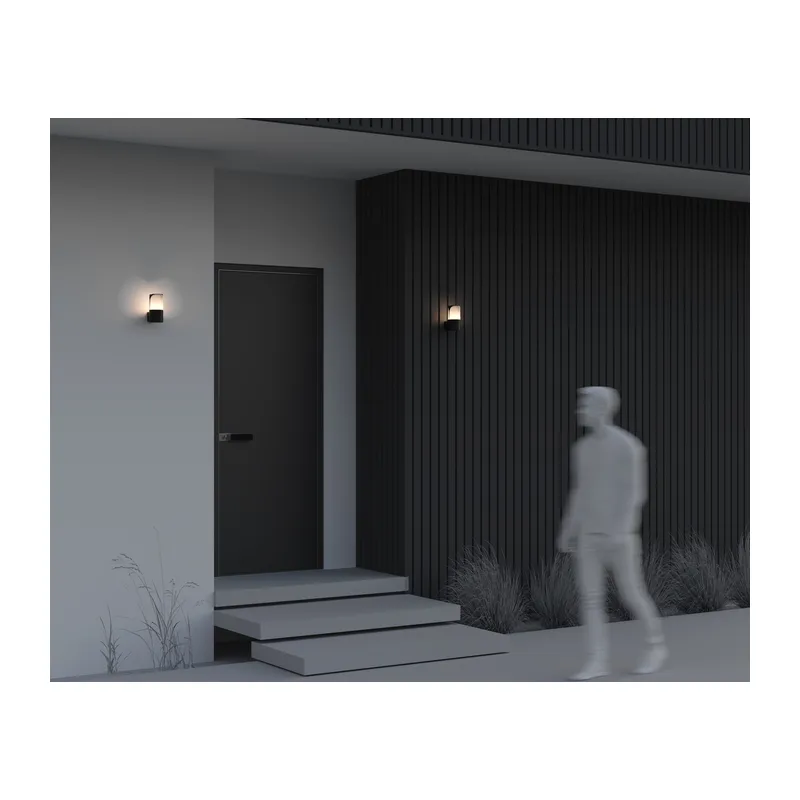 Настенный светильник (бра) Пикадилли / Piccadilly E27х1 23Вт IP 44 Maytoni O016WL-01B 8