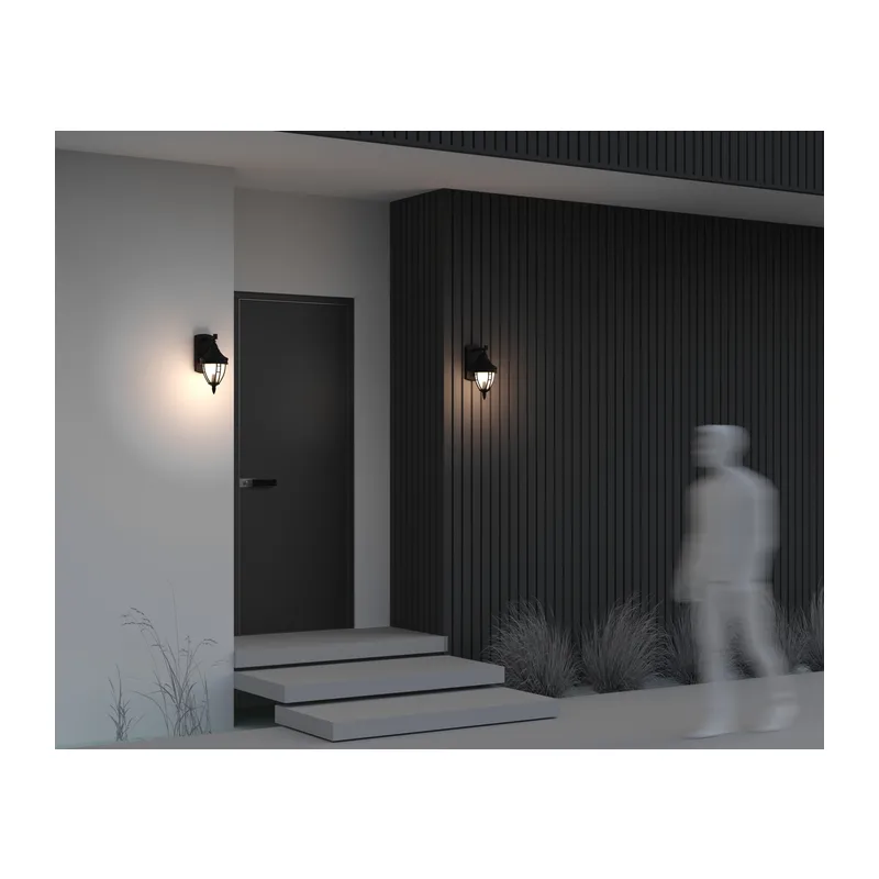 Настенный светильник (бра) Риволи / Rivoli E27х1 60Вт IP 44 Maytoni O027WL-01B 5