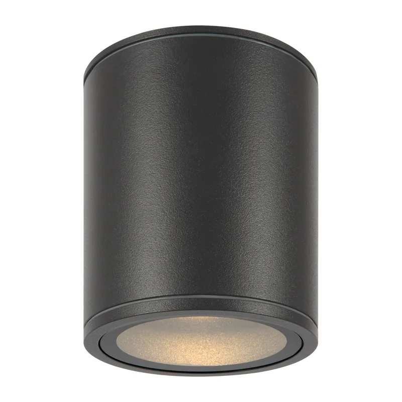 Потолочный светильник Бар / Bar 3000К 12Вт IP 65 Maytoni O306CL-L12GF 3