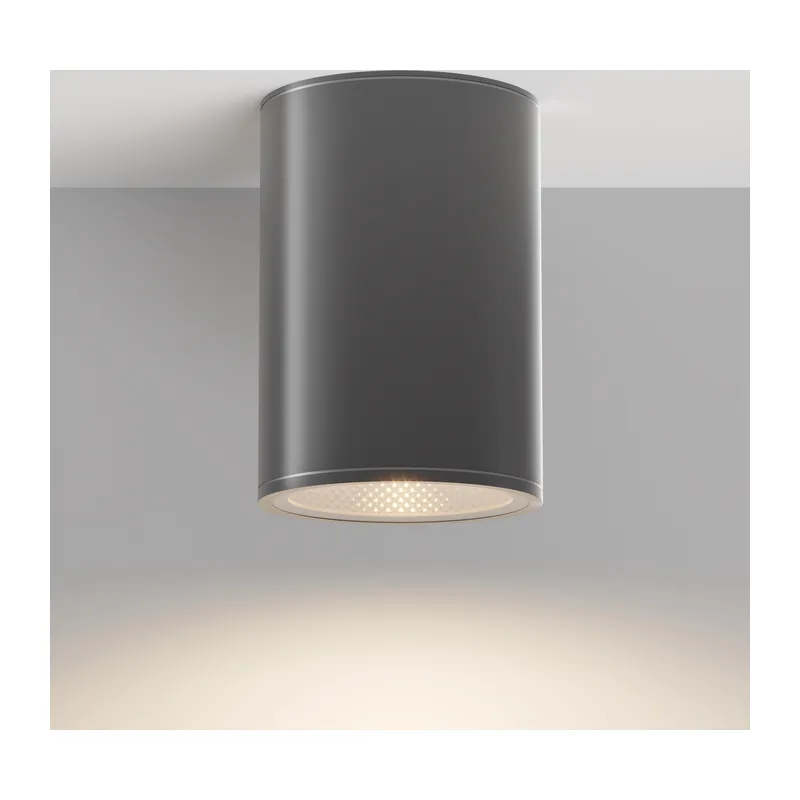 Потолочный светильник Бар / Bar 3000К 12Вт IP 65 Maytoni O306CL-L12GF 5