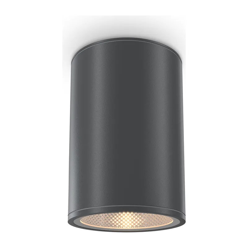 Потолочный светильник Бар / Bar 3000К 12Вт IP 65 Maytoni O306CL-L12GF