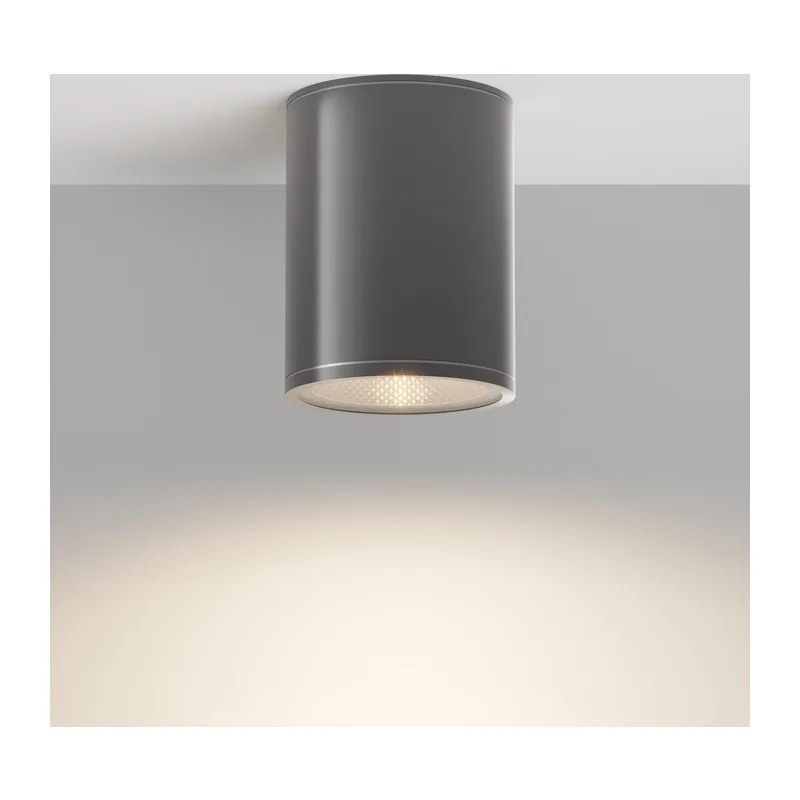Потолочный светильник Бар / Bar 3000К 7Вт IP 65 Maytoni O306CL-L7GF 4