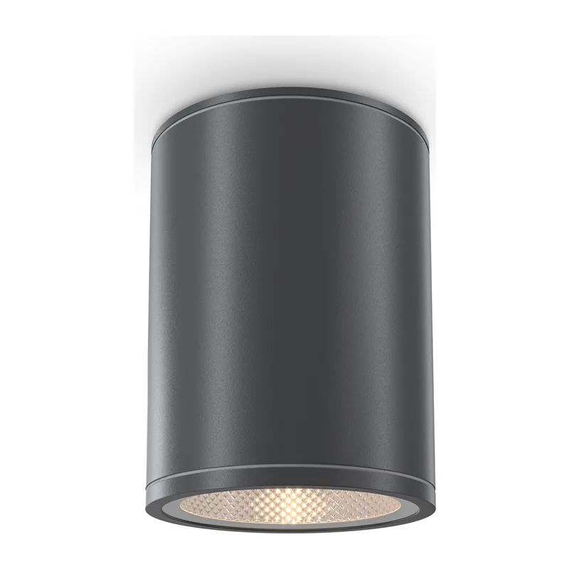 Потолочный светильник Бар / Bar 3000К 7Вт IP 65 Maytoni O306CL-L7GF