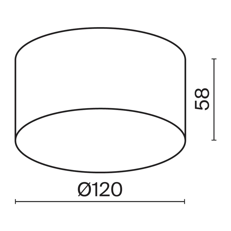Потолочный светильник Зон / Zon IP 3000K 15Вт IP 65 Maytoni O430CL-L15W3K 3