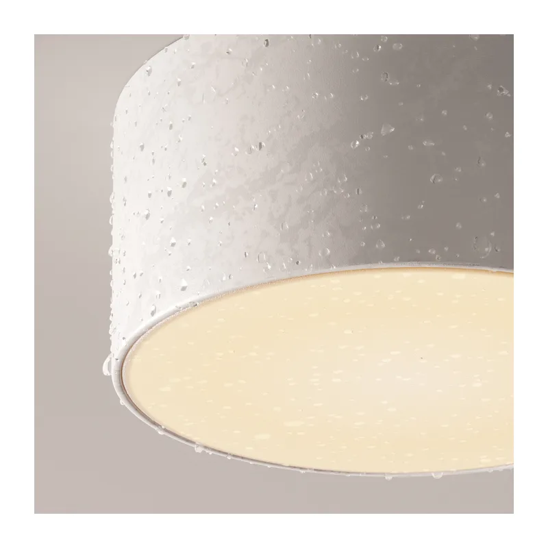 Потолочный светильник Зон / Zon IP 3000K 15Вт IP 65 Maytoni O430CL-L15W3K 6
