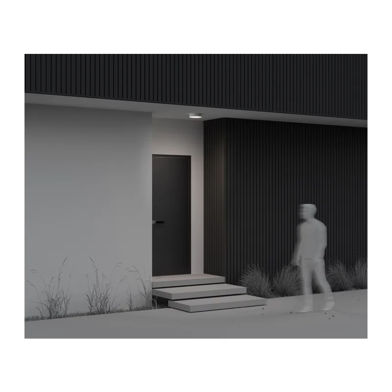Потолочный светильник Зон / Zon IP 4000 30Вт IP 65 Maytoni O431CL-L30W4K 7