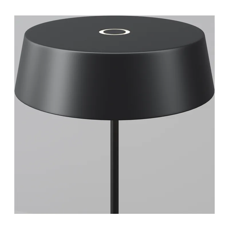 Уличный переносной аккумуляторный светильник Outdoor O540TL-L2BCCT Maytoni 8