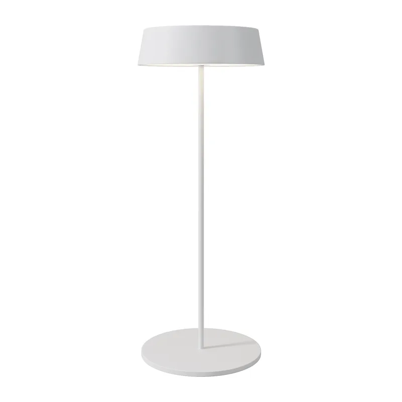 Уличный переносной аккумуляторный светильник Outdoor O540TL-L2WCCT Maytoni