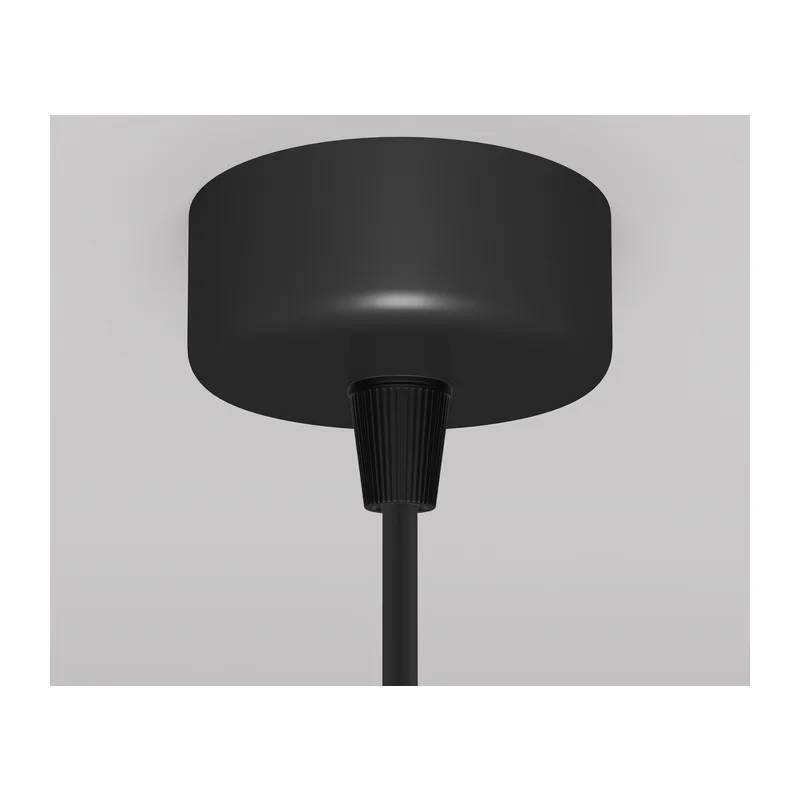 Подвесной светильник Фокус Дизайн / Focus Design GU10х1 Maytoni P038PL-01B 5
