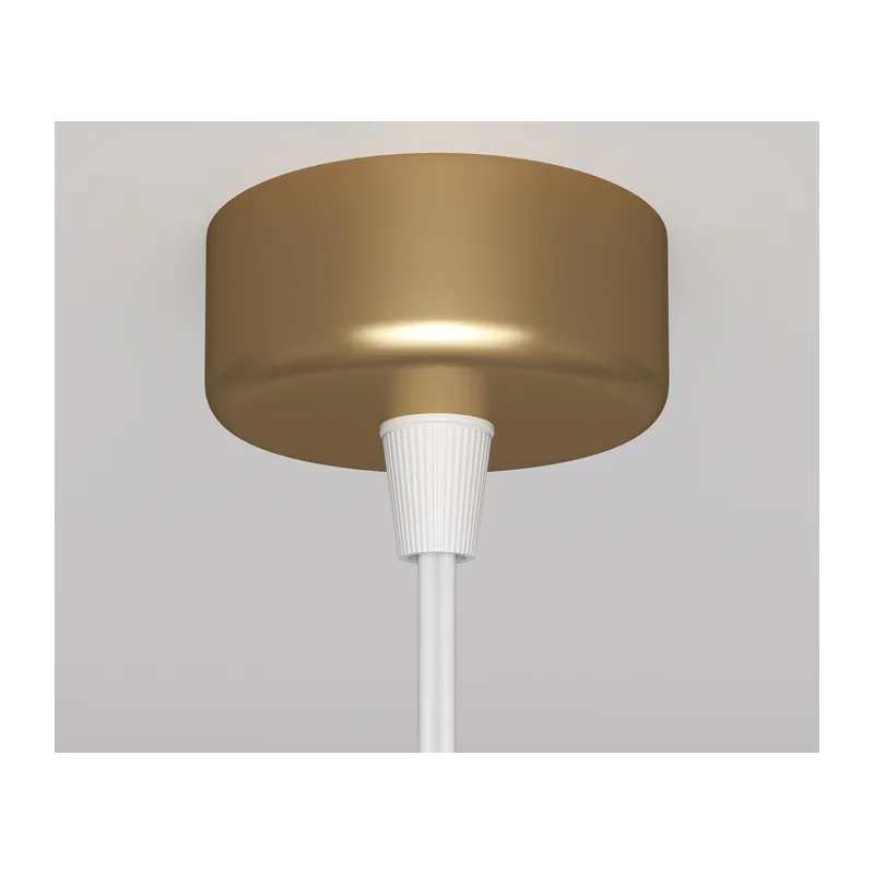 Подвесной светильник Фокус Дизайн / Focus Design GU10х1 Maytoni P038PL-01G 6