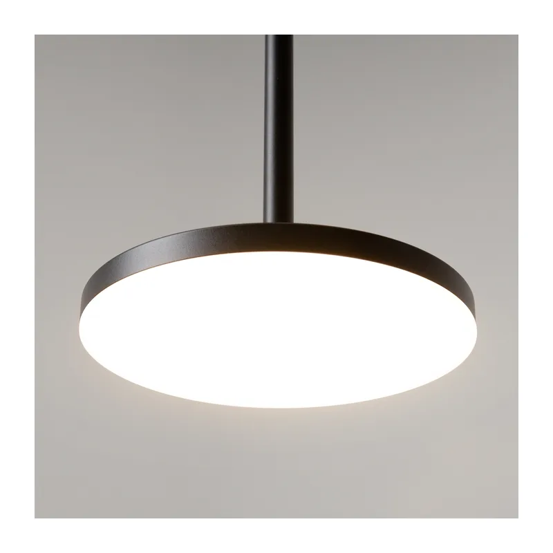 Подвесной светильник Плато / Plato 4000К 12Вт Maytoni P076PL-L12W4K-B 4