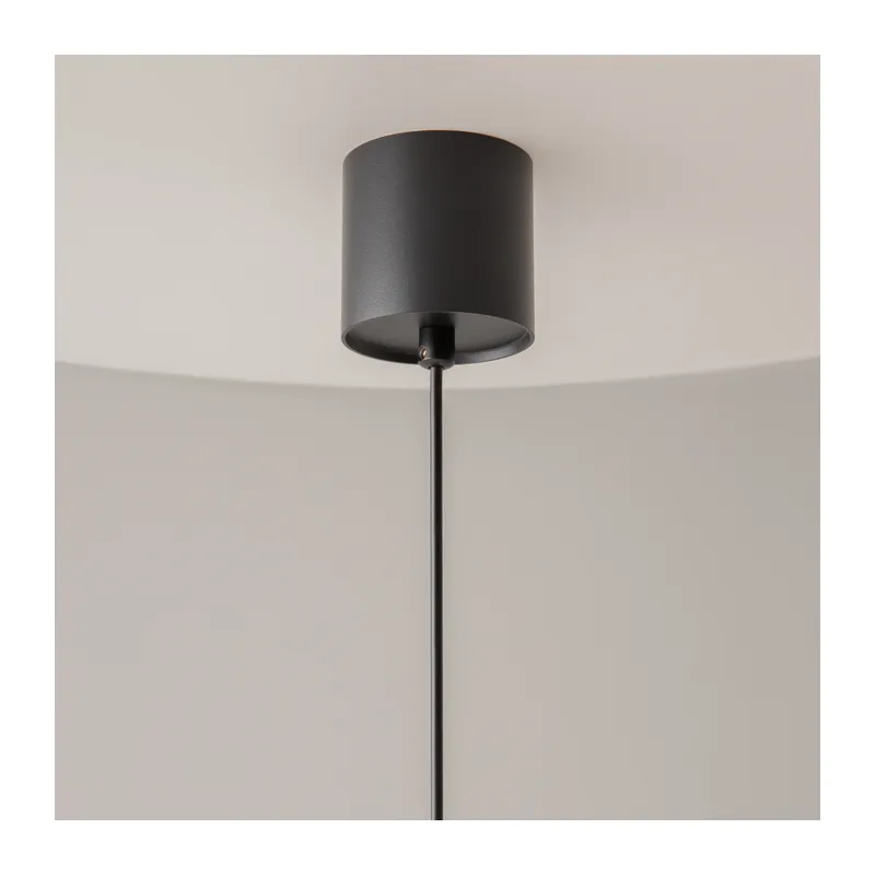 Подвесной светильник Вол / Vol 4000К 20Вт Maytoni P100PL-20W4K-B 7